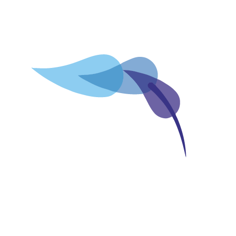 levita Group